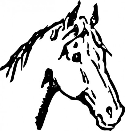 Jumping Horse Outline clip art Vector clip art - Free vector for ...