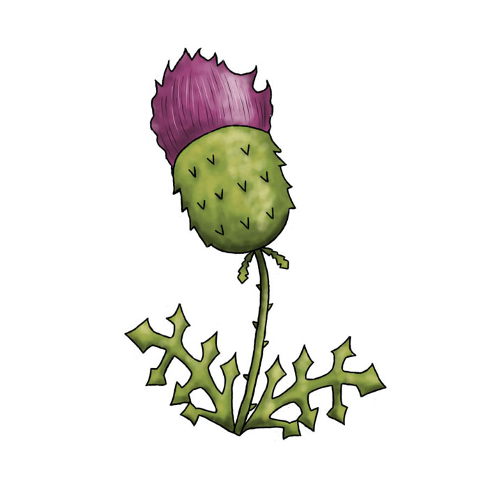 Illustrations of the environment - Resources