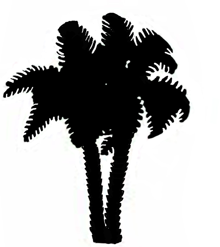 Palm Tree Silhouette Cake Ideas and Designs