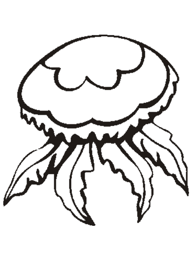 Jelly fish coloring page | Download printable coloring pages ...