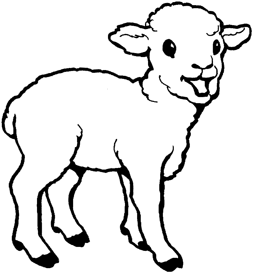Baby-Sheep-Coloring-Page1Free coloring pages for kids | Free ...