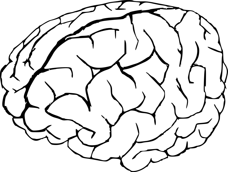 Brain 20clip 20art