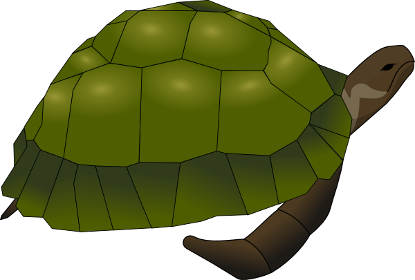 Cartoon Turtle Clip art - Animal - Download vector clip art online