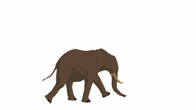 Elephant Walking On A White Background Stock Footage Video 940066 ...