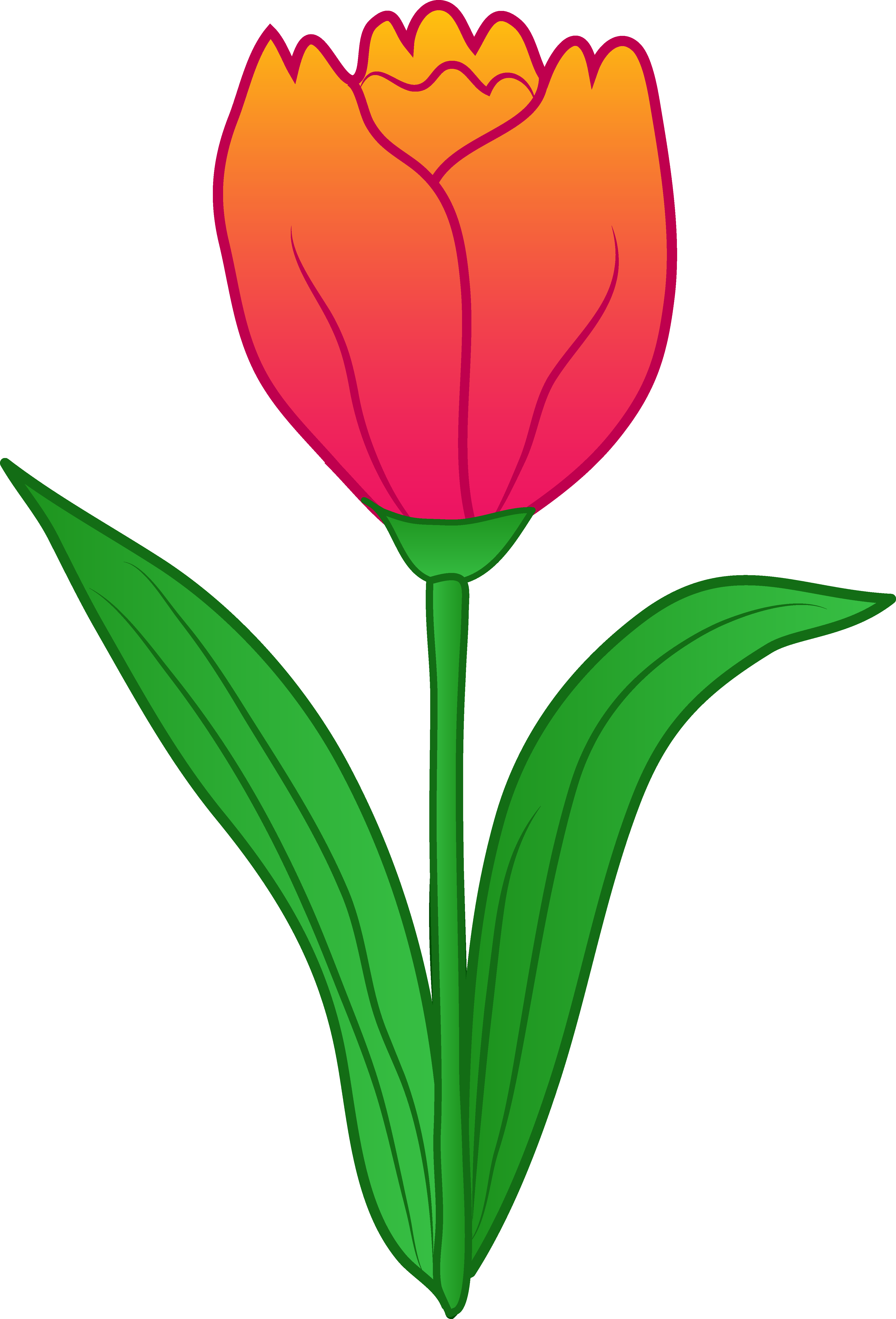 Pretty Pink Tulip Flower - Free Clip Art