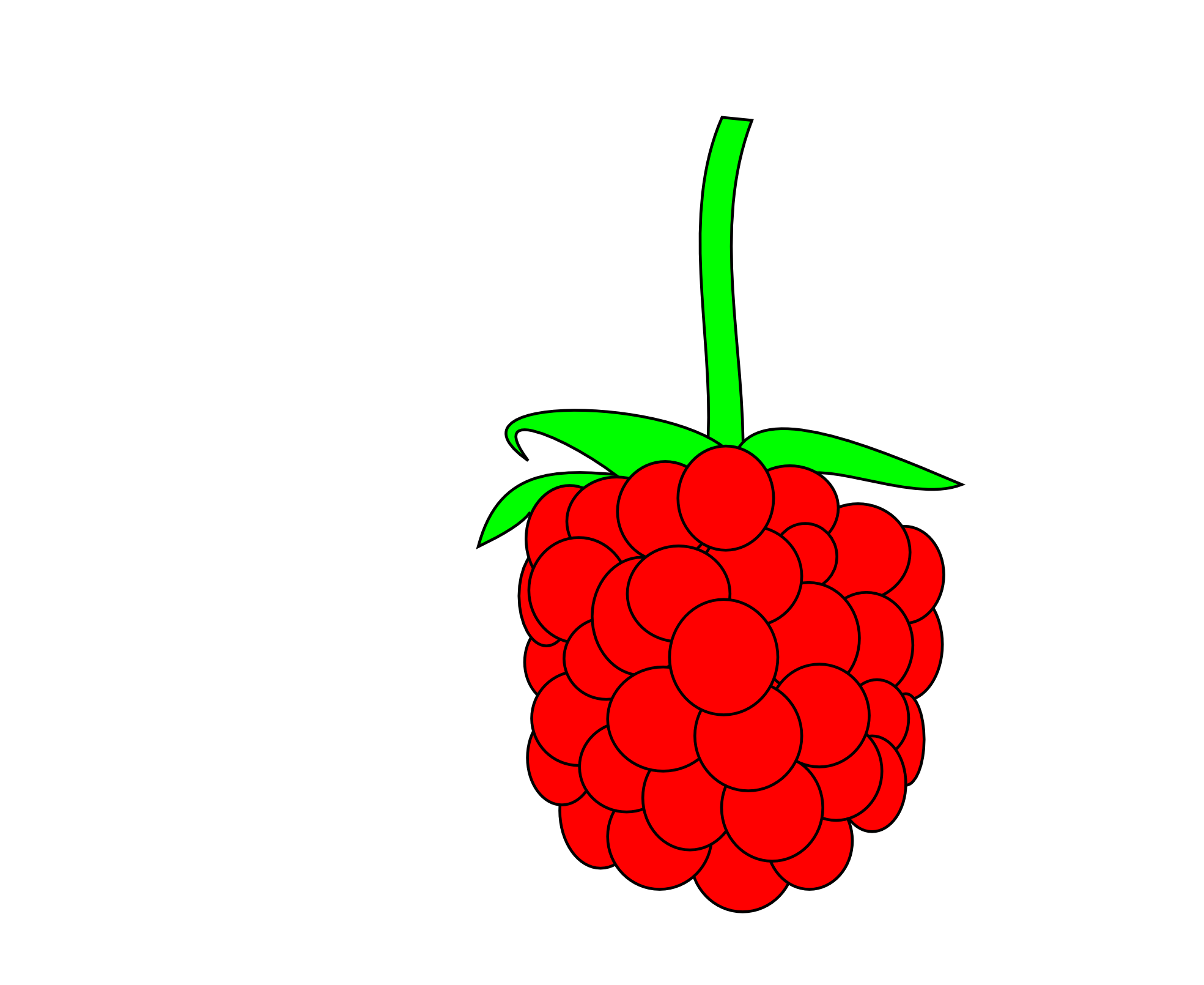 Images For > Clipart Raspberry