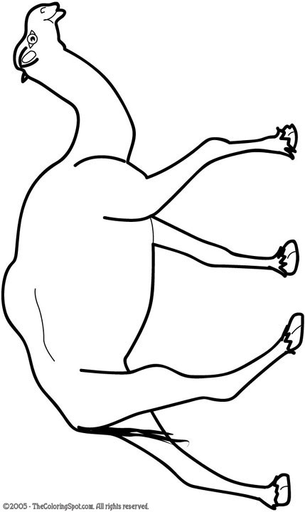Camel | Free printable coloring pages for kids | Light Up Your Brain!