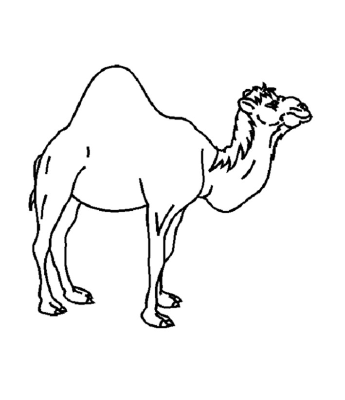 Printable Camel Coloring Pages | Coloring Me