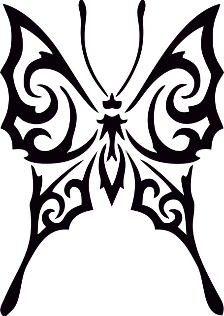 Tribal Butterfly Drawings - Gallery