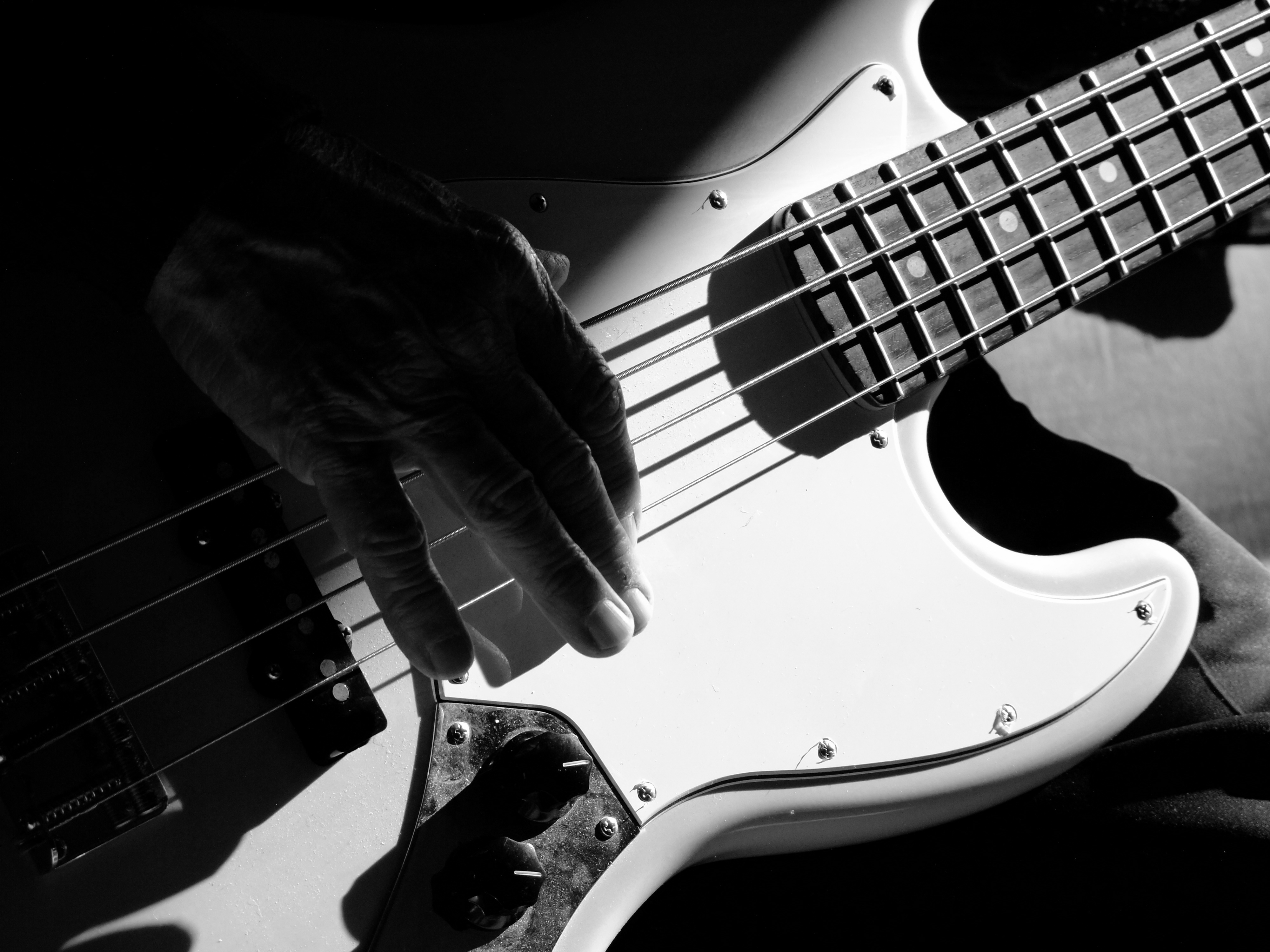 bass guitar | Eremophila's Musings