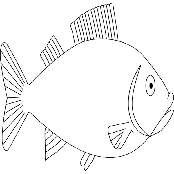 Fish Bulletin Board Ideas: An Fun Way to Welcome Students Back to ...