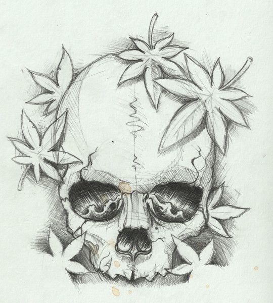 Simple Skull Sketch Drawing With Marple Leaves | Tattoosk ...