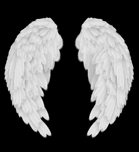 Angel Wings - Free Psd Download - Cliparts.co