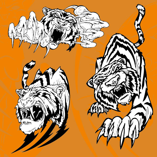 Set of Tiger vector picture art 11 | Animal vectors