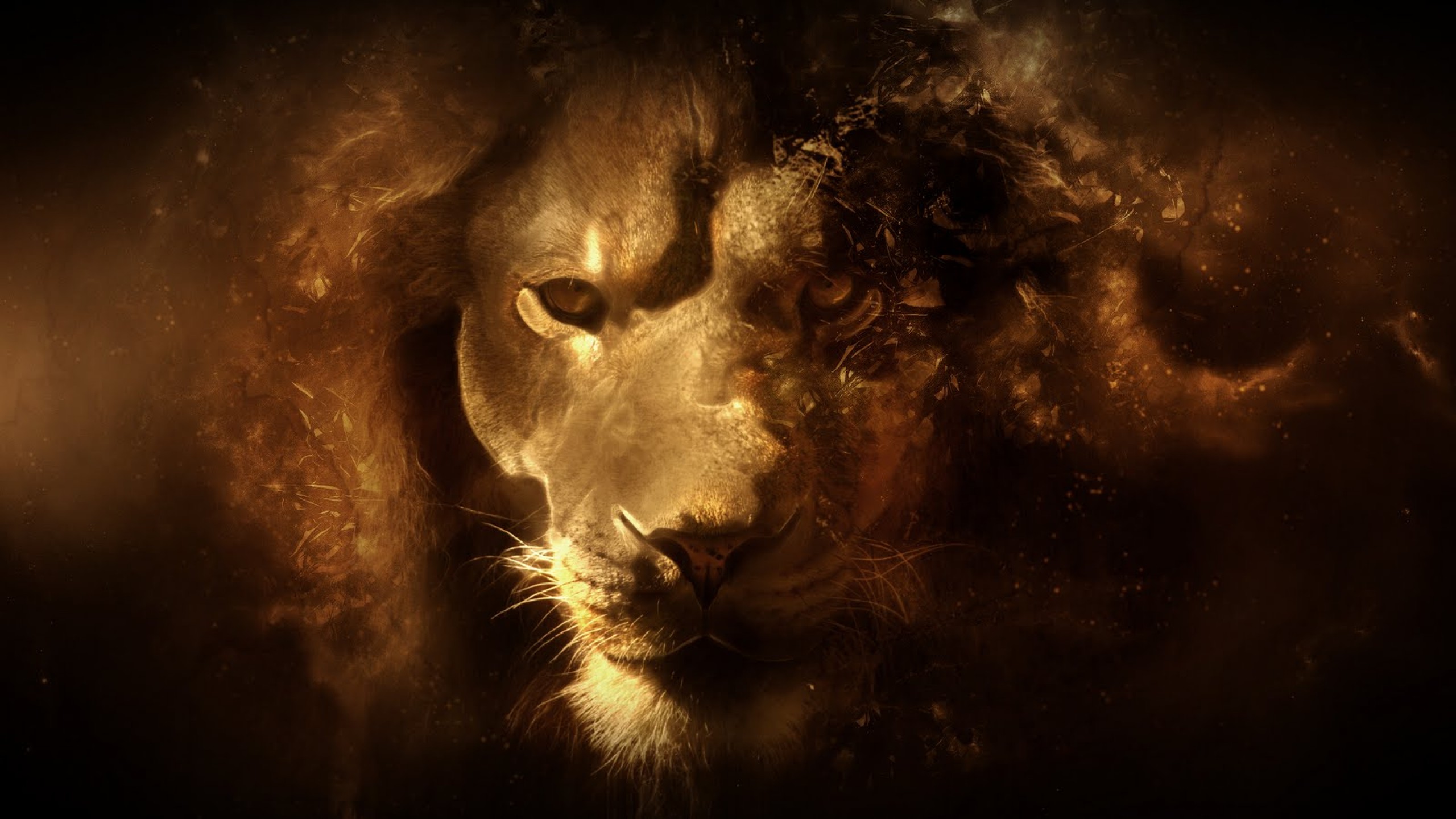 Lion Face Background #6958793