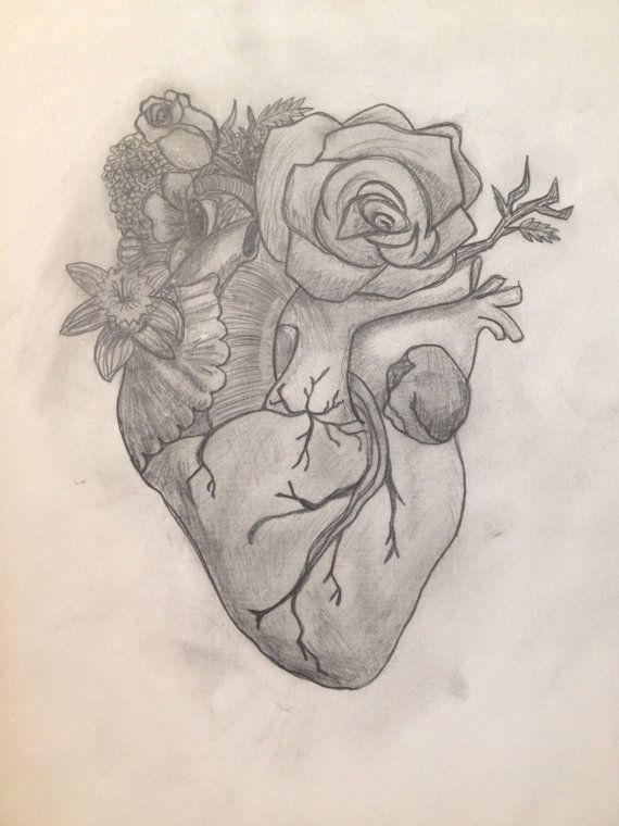 Original Anatomical Heart with Flowers Pencil Drawing by ...