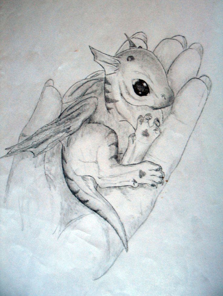 Baby Dragons Drawings Baby Dragon By Darkhorses90 | Dragons ...