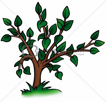 plant-and-tree-cartoon-1207833.jpg