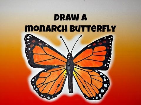 How To Draw Monarch Butterfly - YouTube