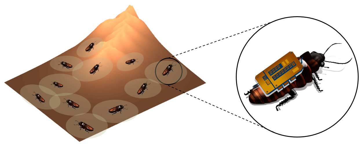 A swarm of cyborg insects used for mapping collapsed buildings ...