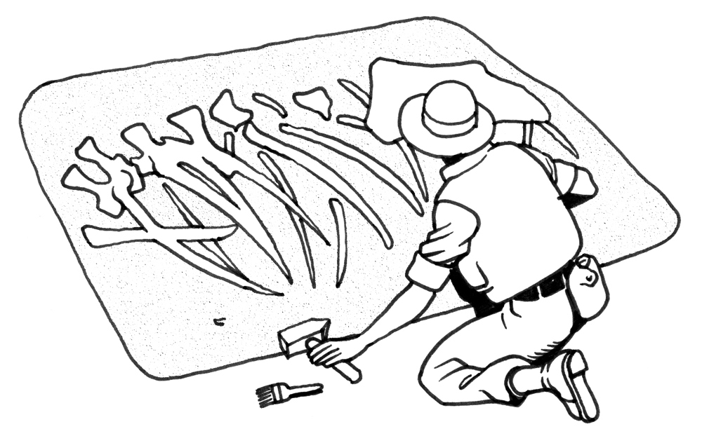Illustrations of the prehistoric world - Resources