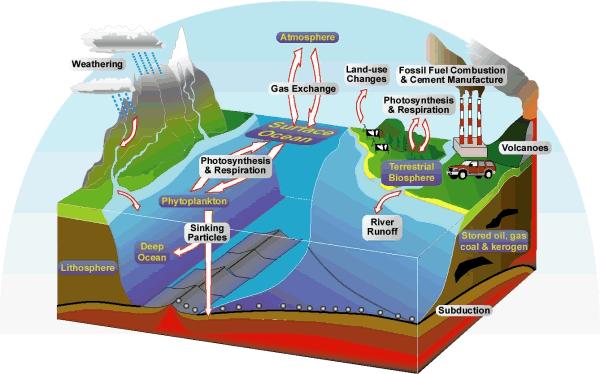 SAD LOVE QUOTES: respiration and photosynthesis equations