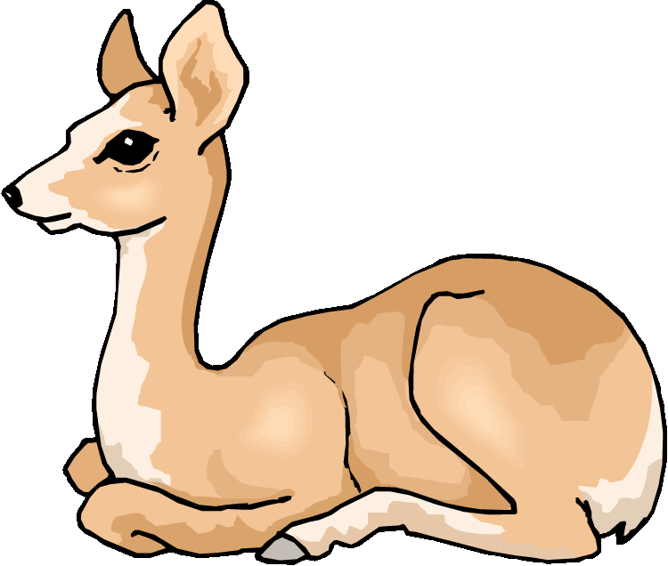 Free Deer Clipart
