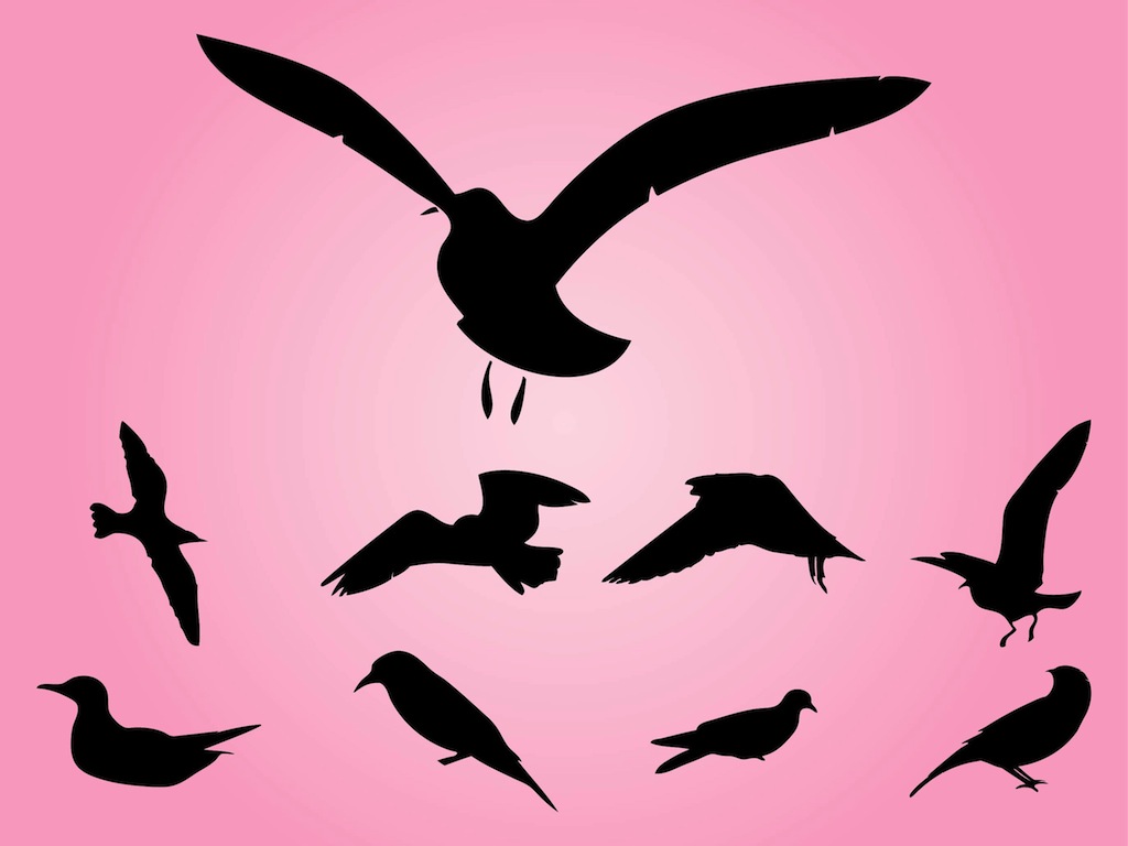 Free Sparrow Vectors