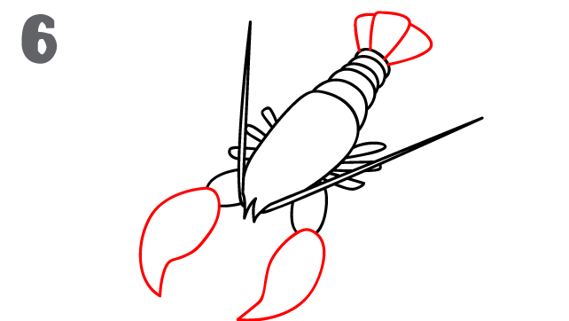 How To Draw a Lobster - Step-