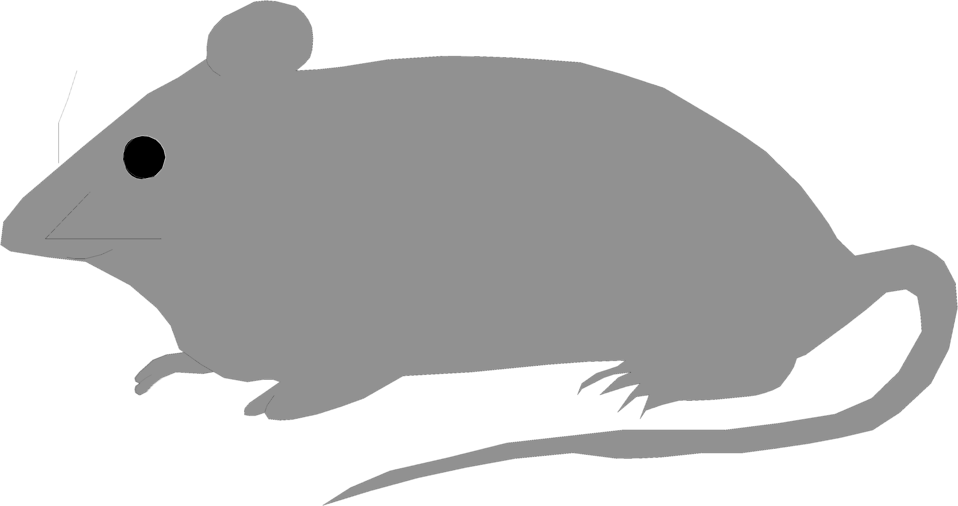 Free Stock Photos | Illustration of a small gray mouse | # 7131 ...