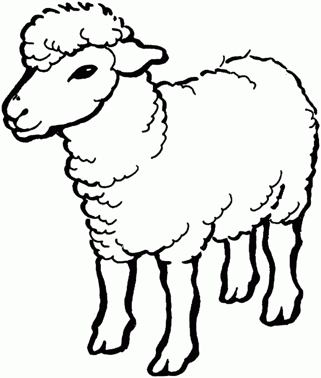 Sheep Coloring Page Coloring Pages For Adults Coloring Pages For ...