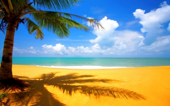 1293 Beach HD Wallpapers | Backgrounds - Wallpaper Abyss