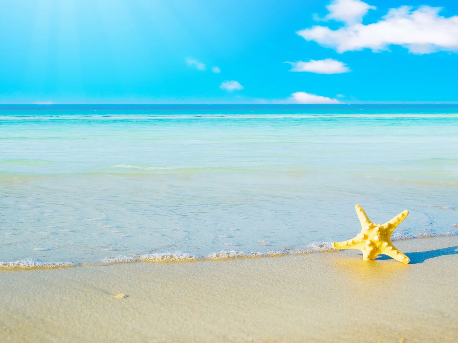 10-star-fish-sea-beach-sand- ...