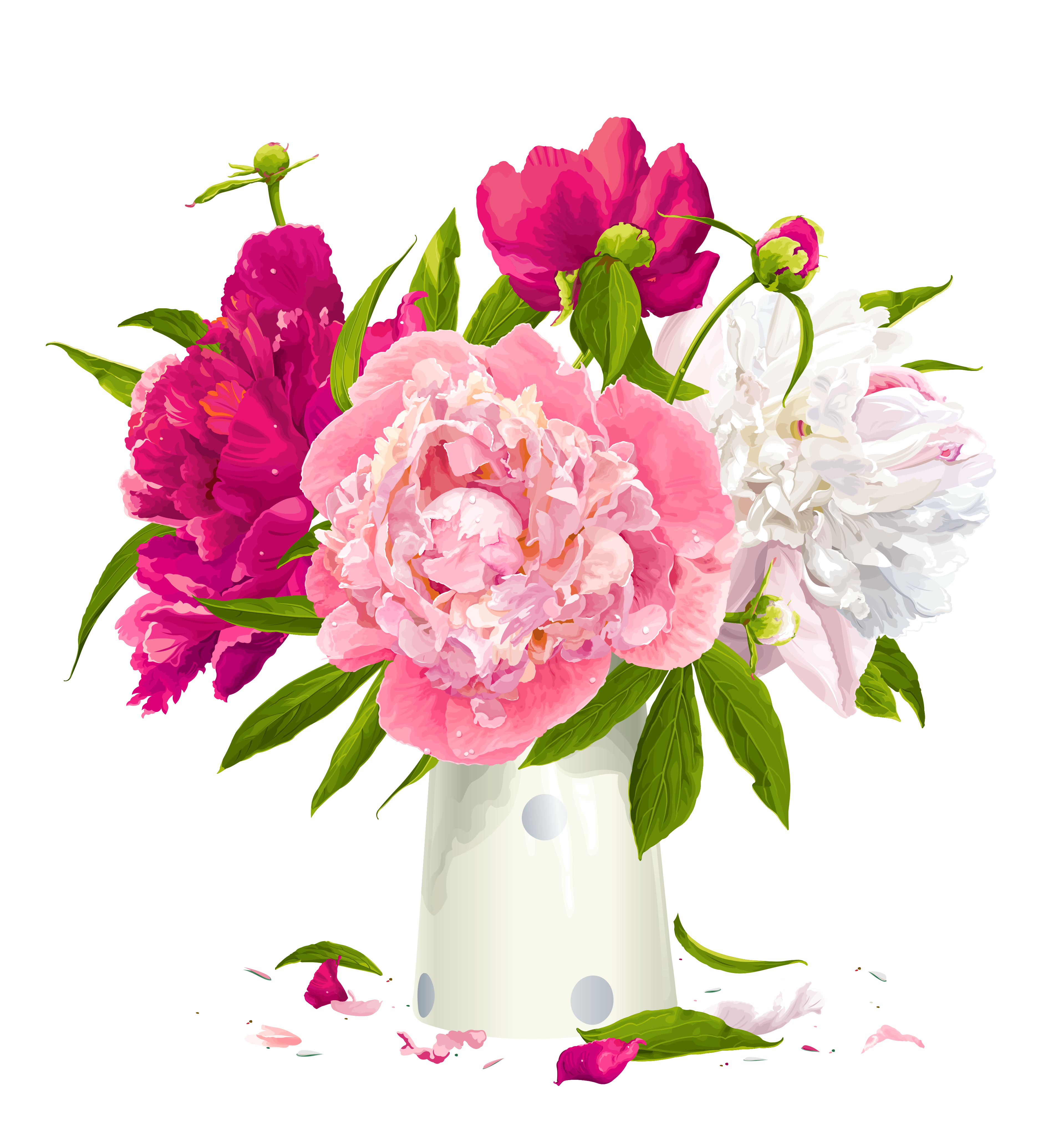 Vase with Peonies Clipart