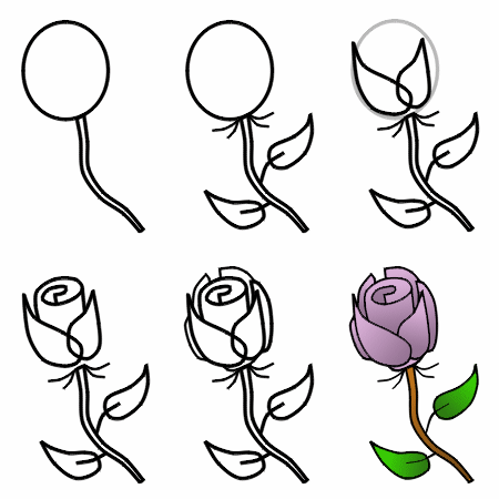How to draw a rose