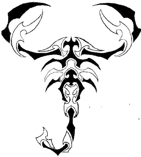 Scorpion by Javen on DeviantArt