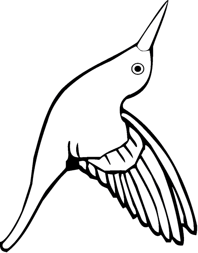Hummingbird coloring page - Animals Town - animals color sheet ...
