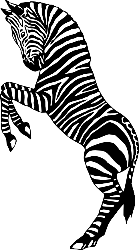 Zebra Silhouette Related Keywords & Suggestions - Zebra Silhouette ...