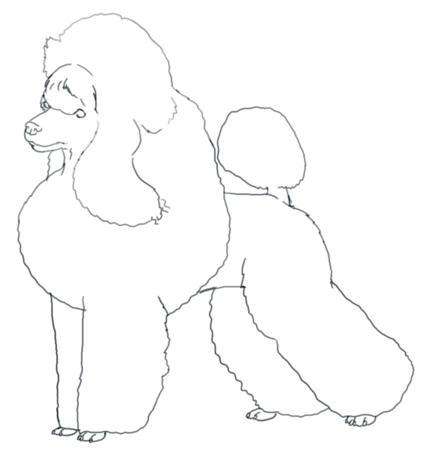 Free coloring pages of poodle toy