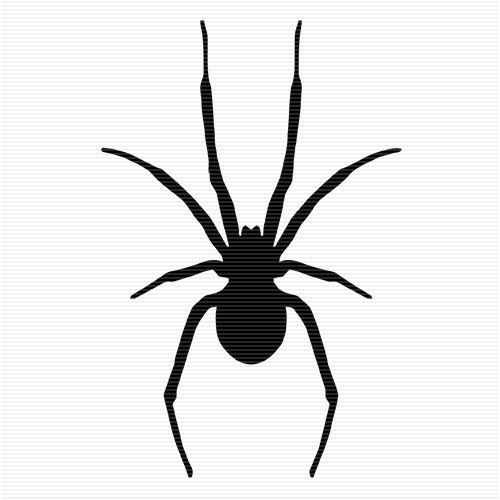 Black Spider Clipart | Cats Wallpaper HD