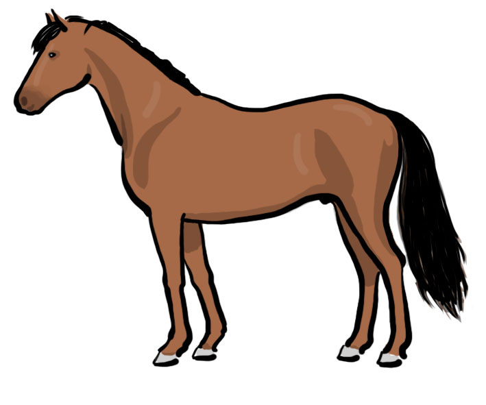 File:Horse Illustration.jpg - Wikimedia Commons - Cliparts.co