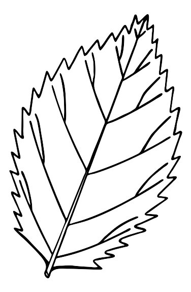 File:Serrated Leaf 001.svg - The Work of God's Children