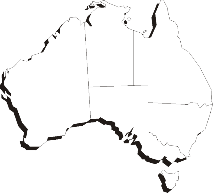 Plain Map Of Australia Tattoo