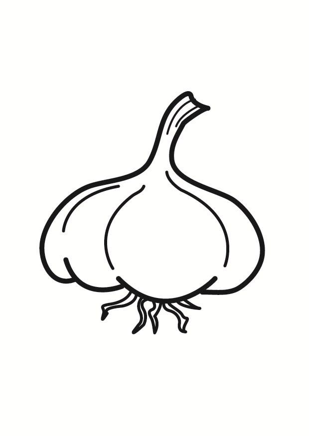 Coloring page garlic - img 23233.