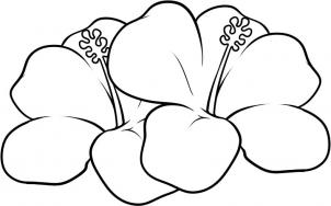 How to Draw Hawaiian Flowers, Step by Step, Flowers, Pop Culture ...