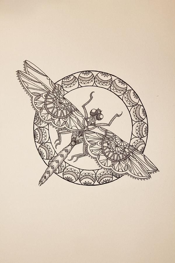 Dragonfly Paintings | Dragonfly II Drawing by Jodi Harvey-Brown ...