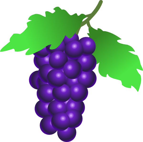 Grapes Vine Clip Art at Clker.com - vector clip art online ...