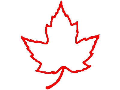 Maple Leaves Related Keywords & Suggestions - Maple Leaves Long ...
