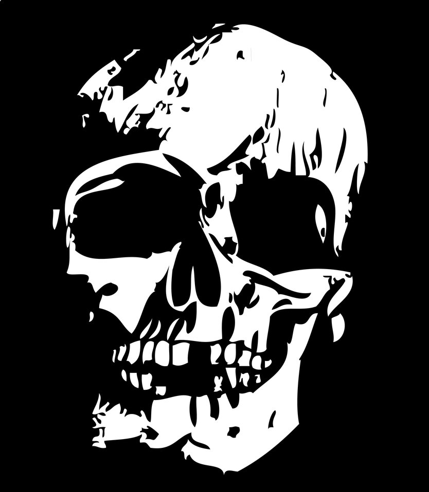 Skull Vector by PseudoTumor on DeviantArt