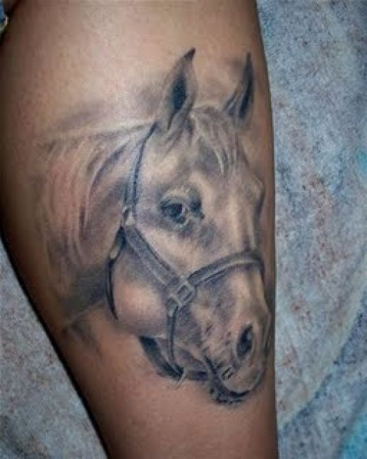70 Simple and Catchy Horse Tattoo Designs Ideas